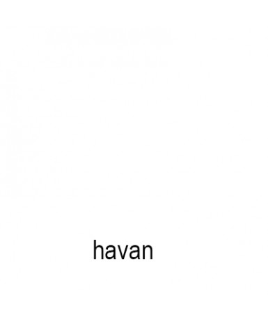 Havan