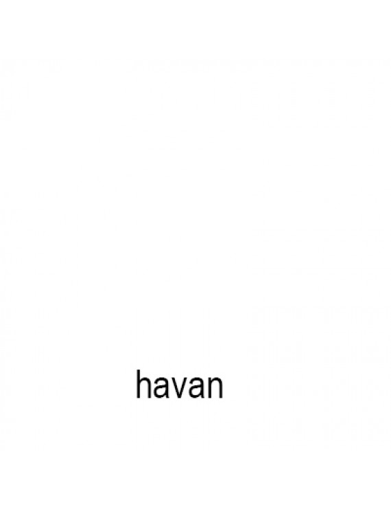 Havan