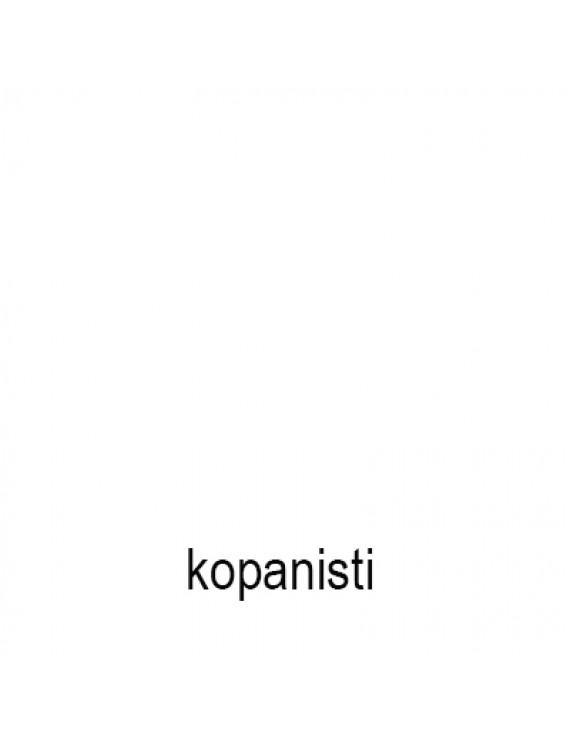 Kopanisti Peyniri22